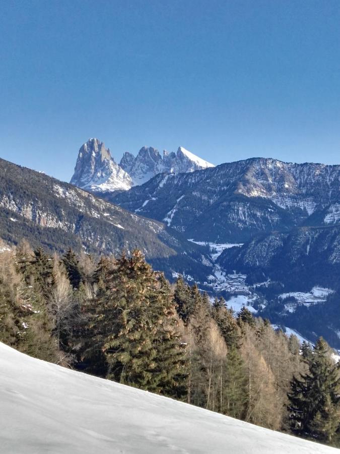 Alpine Chalet Aurora Dolomites ไลออน ภายนอก รูปภาพ